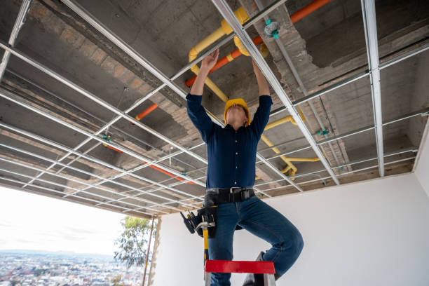 Best Plumbing Installation Services  in Holden Heights, FL