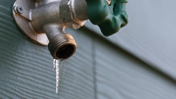 Best Water Softener Installation  in Holden Heights, FL