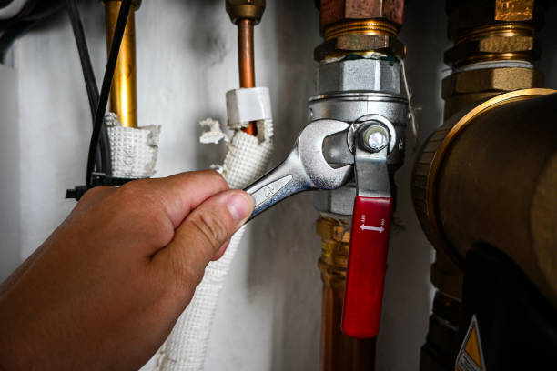 Best Plumbing Repair Near Me  in Holden Heights, FL